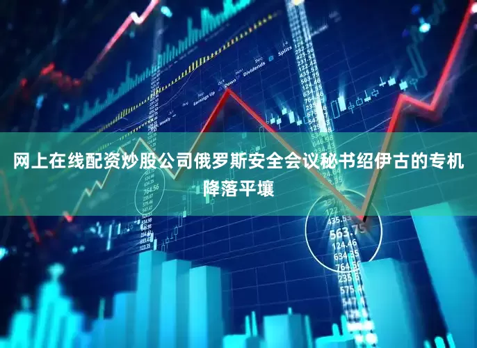 网上在线配资炒股公司俄罗斯安全会议秘书绍伊古的专机降落平壤